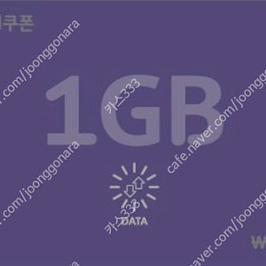 sk데이터2기가 2500즉시전송