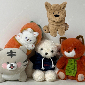 인형뽑기 중형인형 당근토끼 후드곰돌이 여우 다이소 복호랑이 강아지