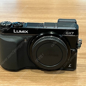 파나소닉 루믹스 GX7