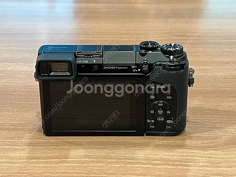 파나소닉 루믹스 GX7--2