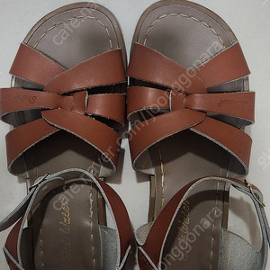 솔트워터샌들 6w8