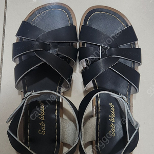 솔트워터샌들 6w8