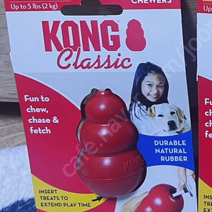콩 장난감 콩 토이 새상품 KONG toy 노즈워크 장난감 (*가격 인하) 이미지