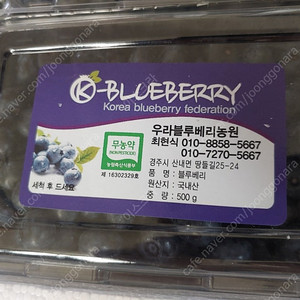 블루베리