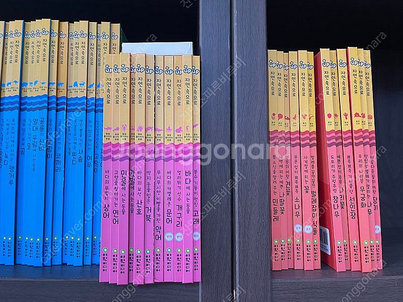 여원미디어 탄탄 플러스업자연속으로 새책급 +동물카드/네...--2