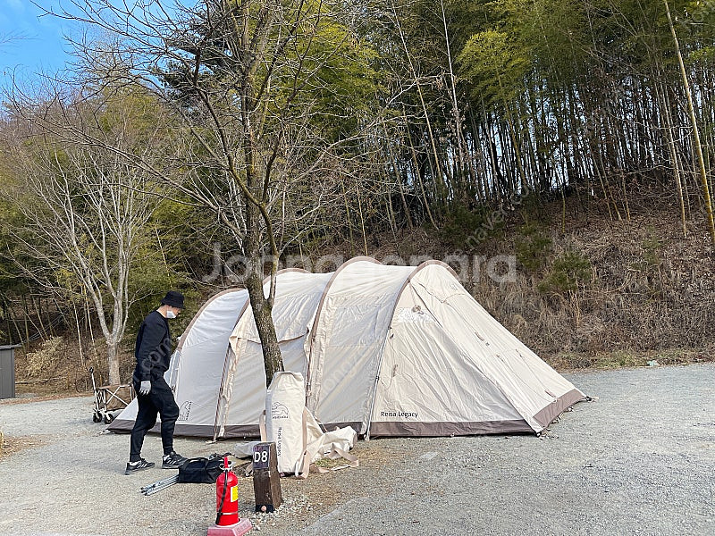 노르디스크 레이사6 레거시--0