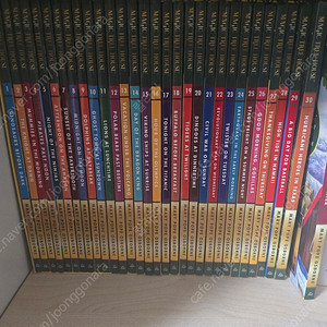 Magic tree house 31권, Flat stanley12권, Judy moody 8권