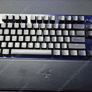 레이저 헌츠맨 V3 Pro tkl