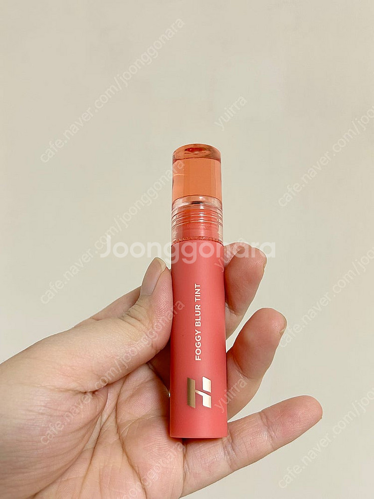 에뛰드 픽싱틴트 빈티지레드+홀리카 포기블러틴트 총4종 ...--5