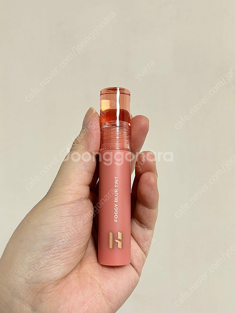 에뛰드 픽싱틴트 빈티지레드+홀리카 포기블러틴트 총4종 ...--7
