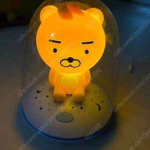 라이언 무드등