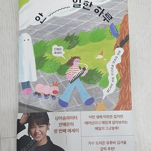 안예은 친필싸인 및 문어의 꿈LP