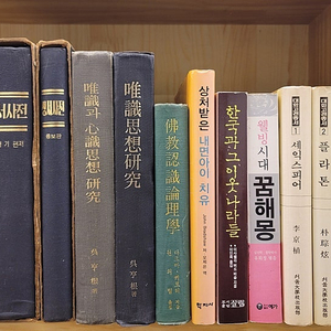 박종화 삼국지 이집톨로지. 호메로스의 세계 한문정해 세계만물 그림사전. 베르그송의 철학 한국상고사입문. 불교인식논리학 류형기 성서사전 유식과 심식사상 연구 유식사상연구