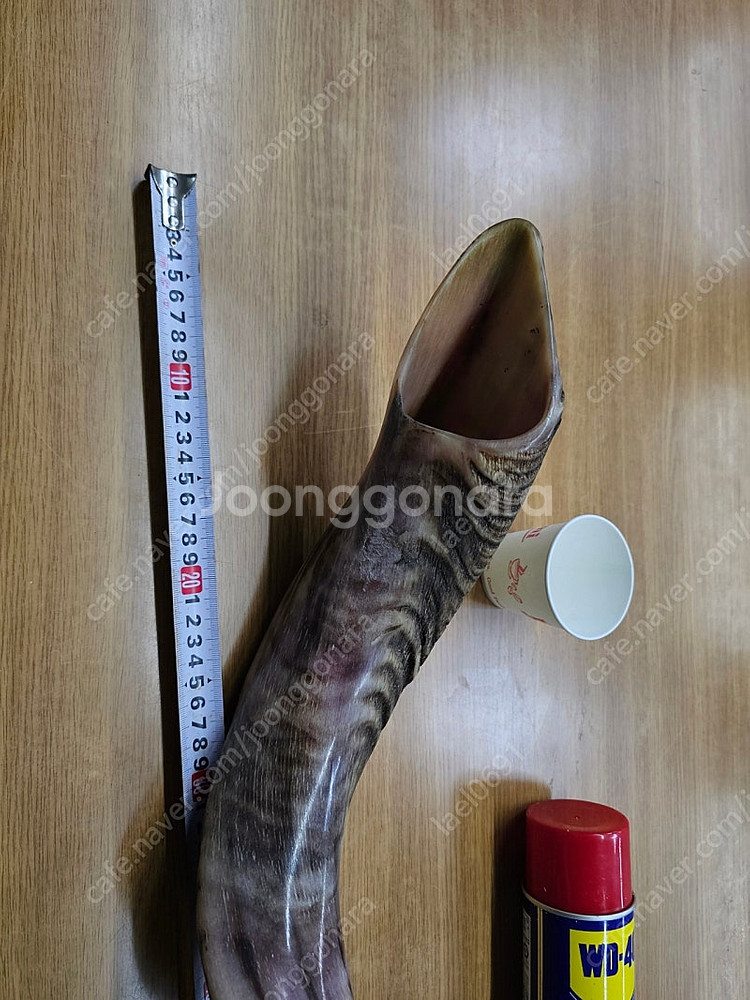 쇼파르, 뿔나팔, 트럼펫, 하늘소리,--0