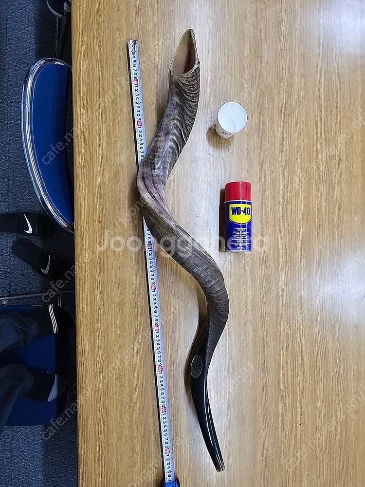 쇼파르, 뿔나팔, 트럼펫, 하늘소리,--1