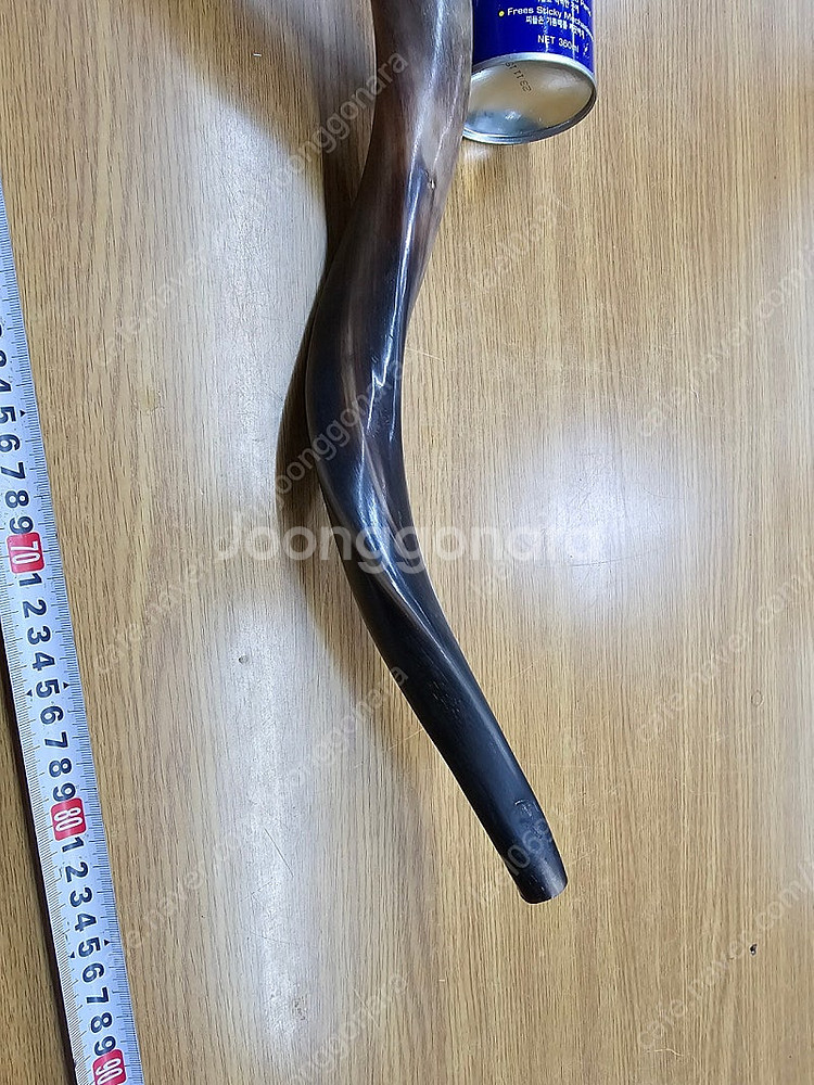 쇼파르, 뿔나팔, 트럼펫, 하늘소리,--2