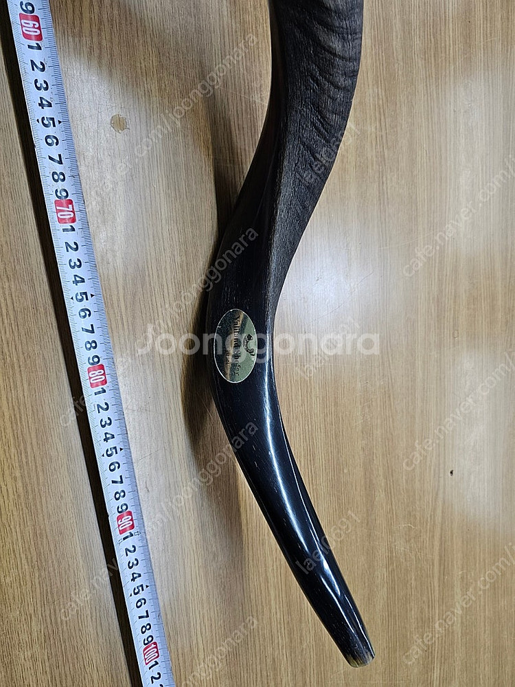 쇼파르, 뿔나팔, 트럼펫, 하늘소리,--4