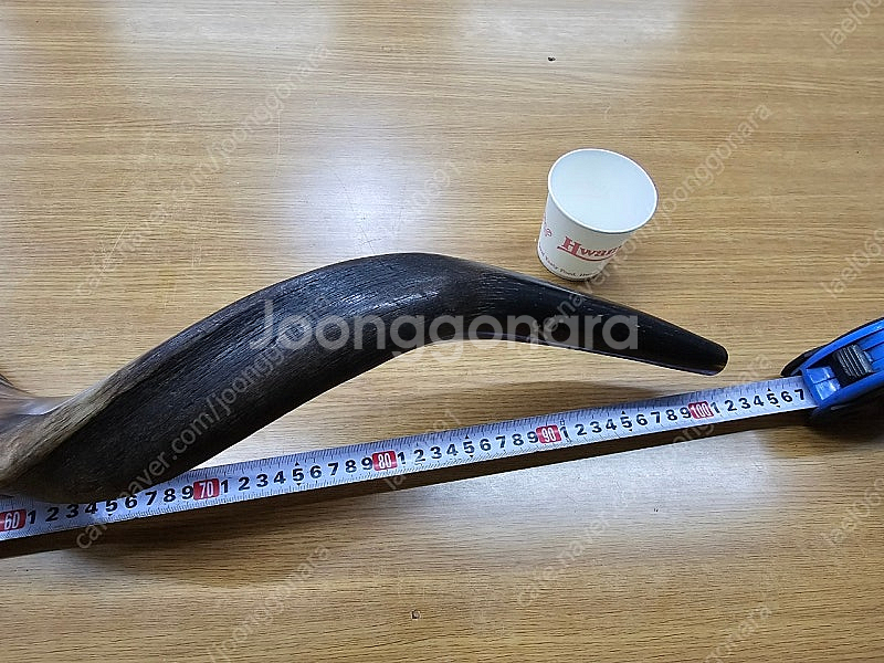 쇼파르, 뿔나팔, 트럼펫, 하늘소리,--7
