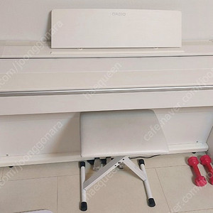 카시오 디지털 피아노 PX 870
