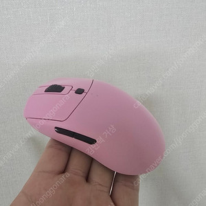 벡시 xe
