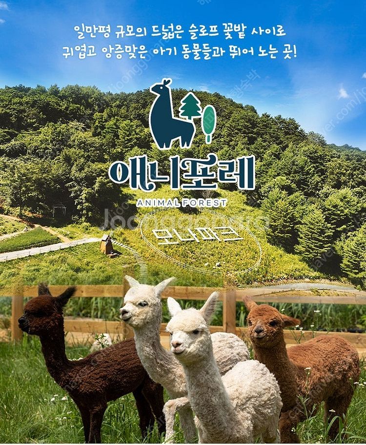 용평리조트~워터파크종일권~공룡랜드입장권~루지~마운틴코스...--3