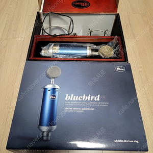 Blue Bluebird SL 블루 블루버드 SL 콘덴서 마이크