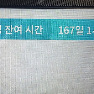 호두 잉글리쉬