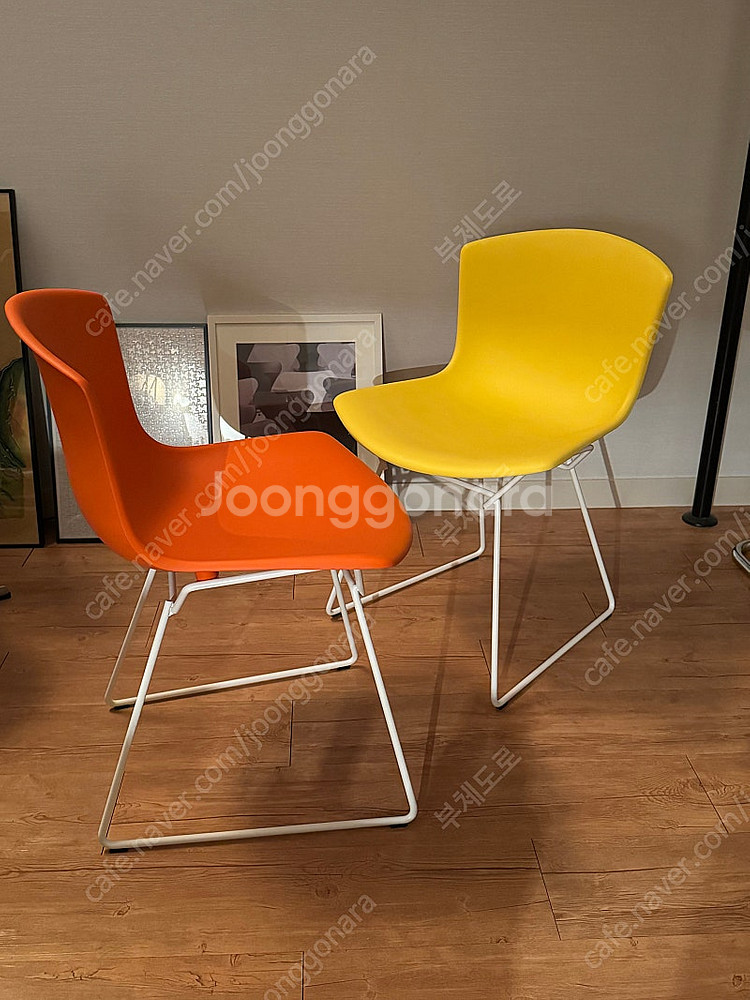 knoll 베르토이아 체어 정품 놀 베르토이아 체어--0