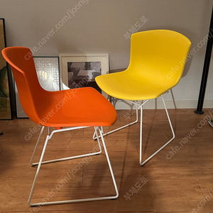 knoll 베르토이아 체어 정품 놀 베르토이아 체어