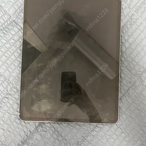 아이패드 프로 5세대 12.9 128GB + 애플펜슬