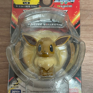 몬콜레 이브이