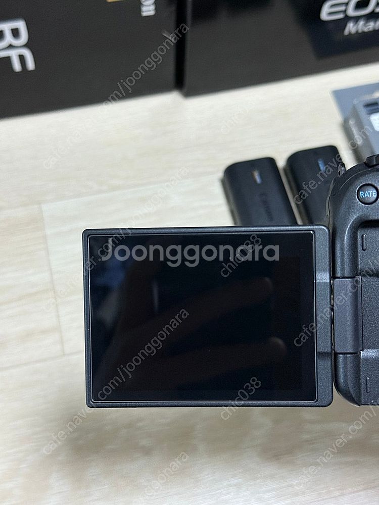 캐논 R6m2, 24-105 F4L--1