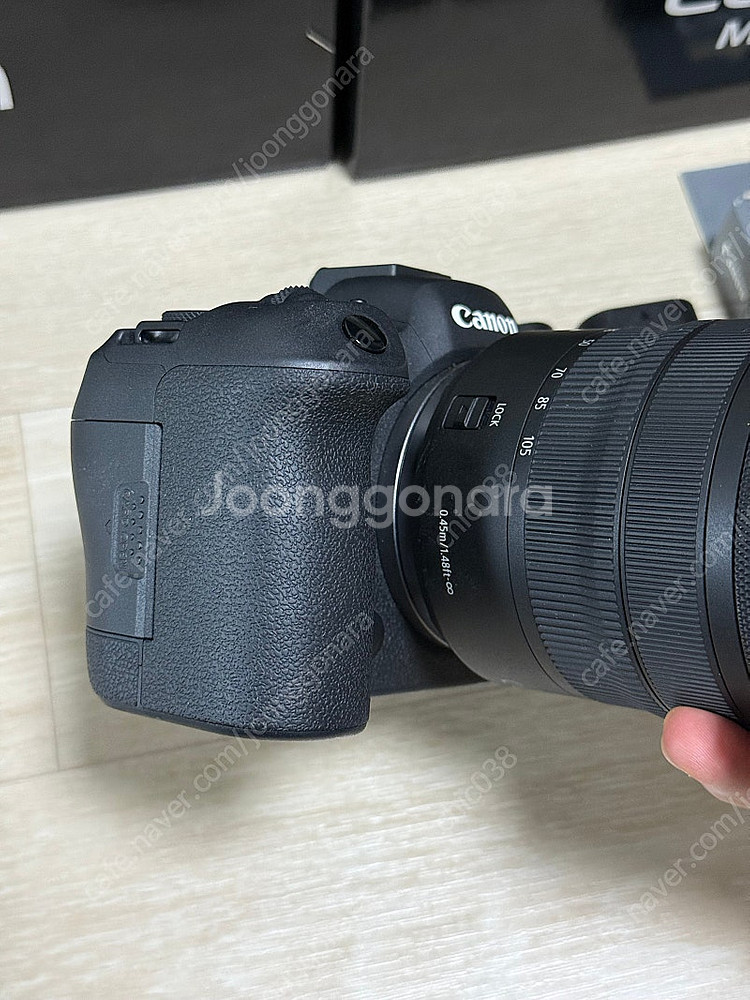 캐논 R6m2, 24-105 F4L--4
