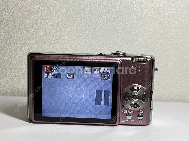 파나소닉 루믹스 DMC-FX8 핑크--4