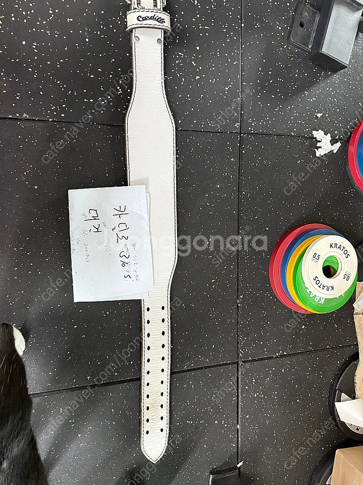 카딜로 310 화이트 xs사이즈--0