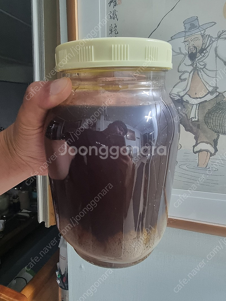 석청꿀 한병 판매합니다.--0