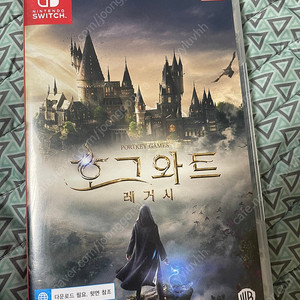 닌텐도 호그와트 레거시 스위치 칩