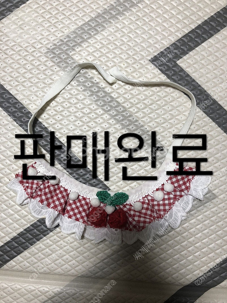 강아지 옷 개당 5천원--7