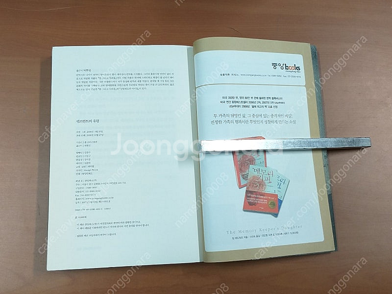 *램브란트의유령/폴크리스토퍼장편소설--2