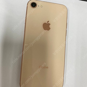 048139 아이폰8 로즈골드 SSS급 256GB 배터리성능100% (대량구매가능) 인스타 학생폰 업무폰 추천 21만 부천