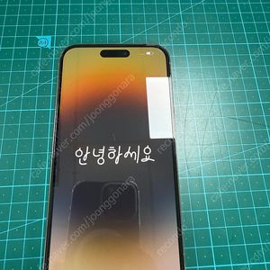 아이폰 14 Pro Max 골드색상 256GB