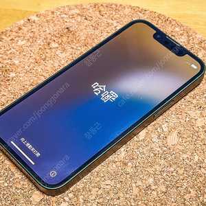 아이폰 13 미니 그린 256GB