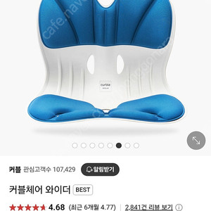커블체어 와이더️