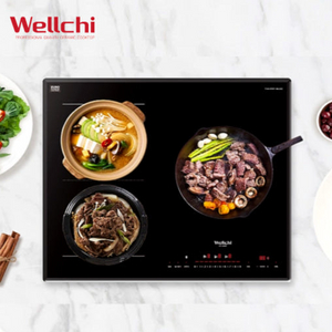 [웰치] Wellchi 3구 인덕션 (KR-S4800N)
