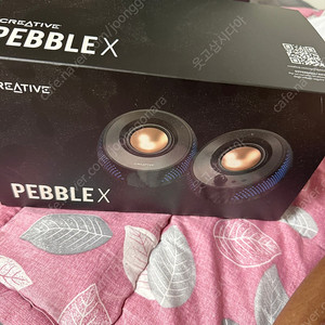 크리에이티브 pebble x 판매합니다