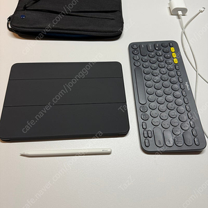 아이패드 프로 11 (2세대) 126G WiFi + 애플펜슬2 + 정품케이스+ 파우치(탐탁) + 로지텍 k380 풀세트 (상태 민트)