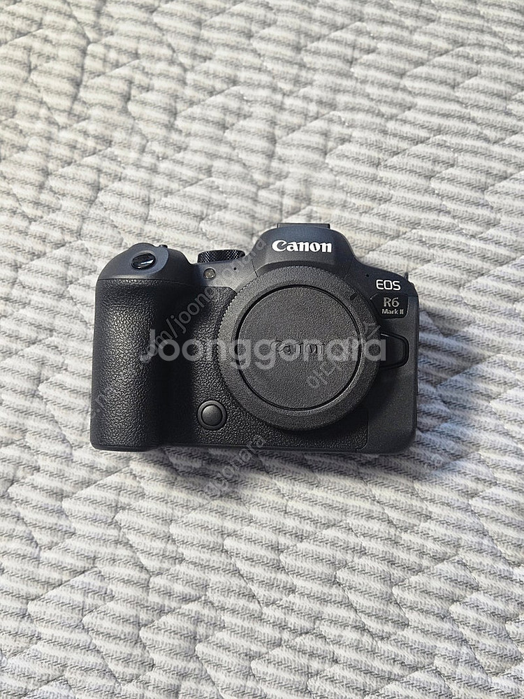canon r6m2 미러리스 바디 판매합니다--4
