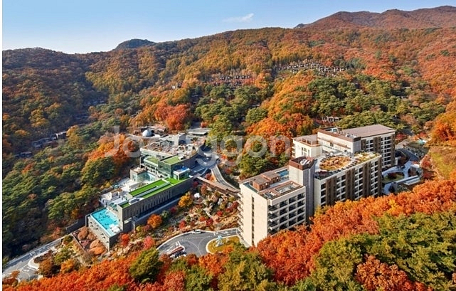 7월12일 양양리조트 쏠비치 소노 롯데리조트--0