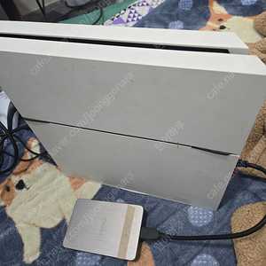 ps4 1105A 9.00(커펌) 내장 500기가에 외장 2테라(게임 62개)