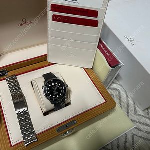 오메가 씨마스터 300 구씨마